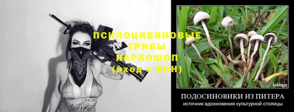 ПСИЛОЦИБИНОВЫЕ ГРИБЫ Аркадак