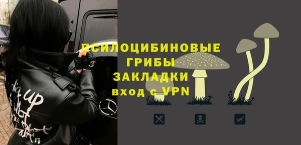 ПСИЛОЦИБИНОВЫЕ ГРИБЫ Аркадак