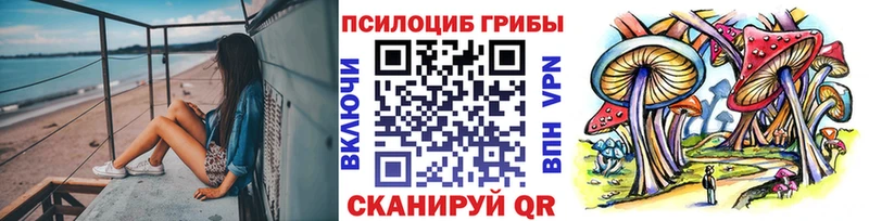 Галлюциногенные грибы Psilocybine cubensis  закладка  Десногорск 